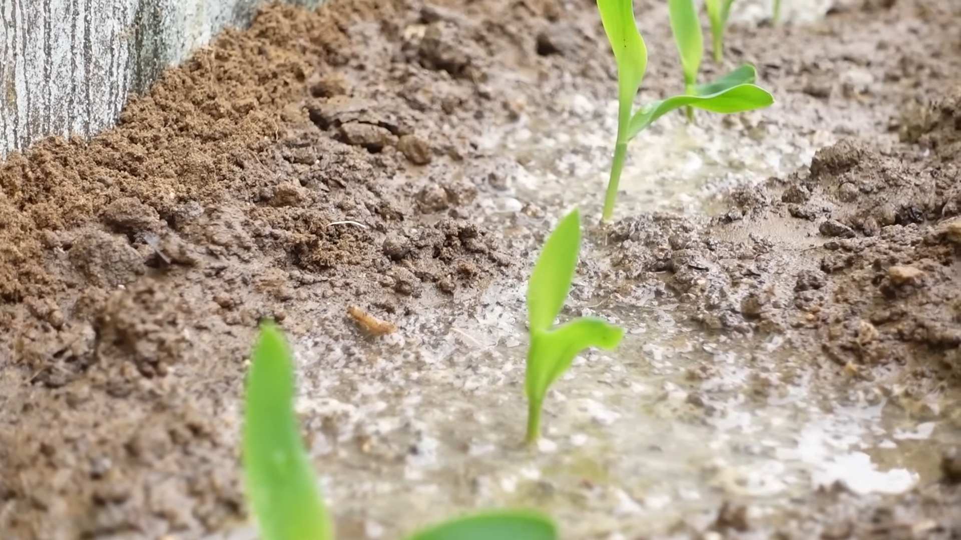 DIY Concrete Patio