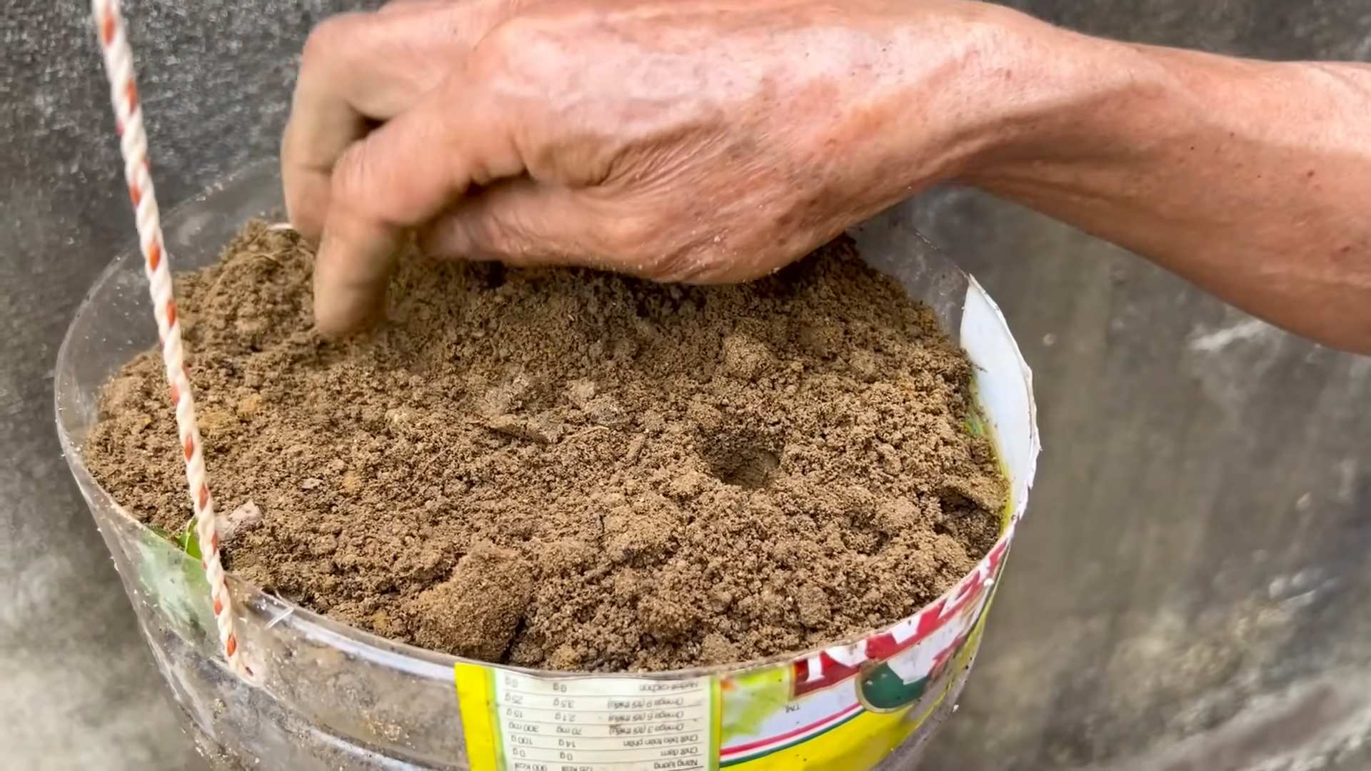 Grow Sweet Melons Easily
